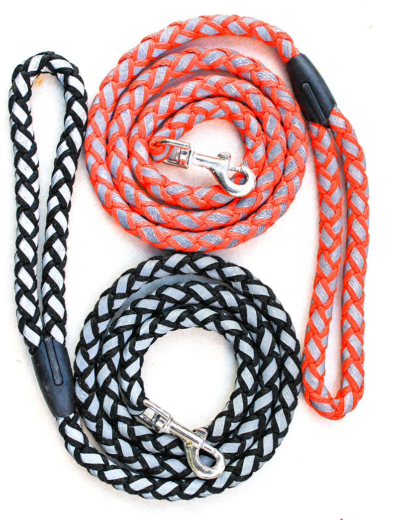 leashes for love